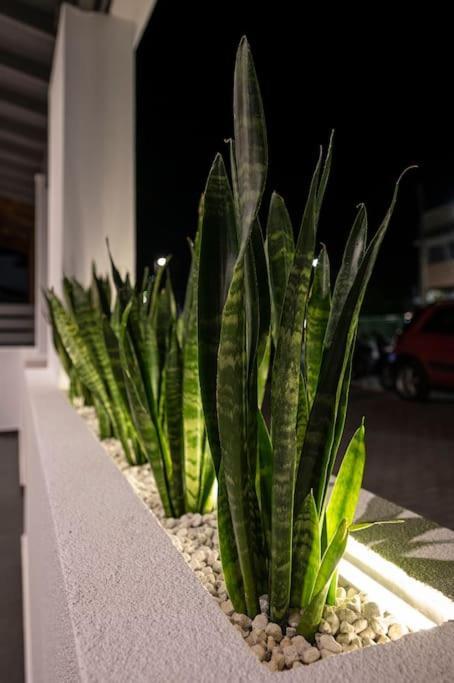 Ferienwohnung Poem Kos-Stadt Exterior foto